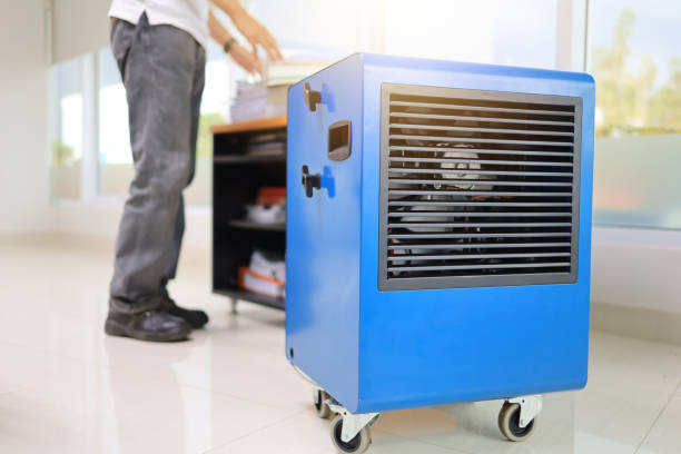  Evans, CO Mold Removal Pros
