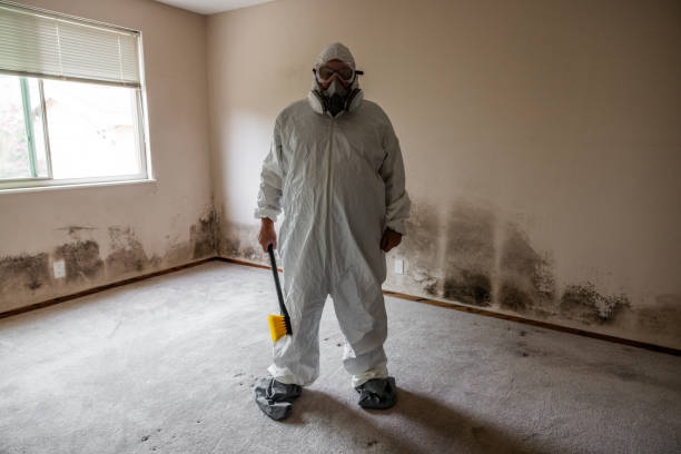Best Forensic Mold Investigation  in Evans, CO